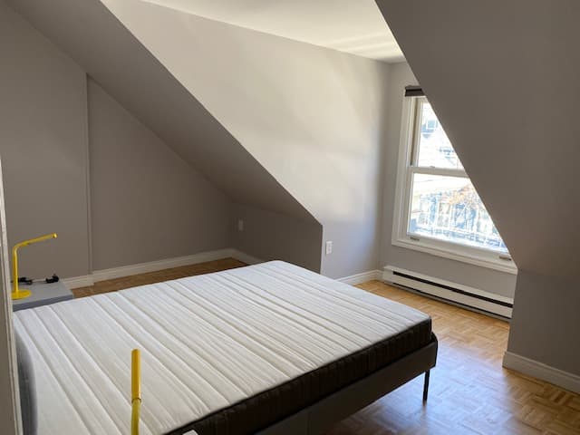 IMG 0835