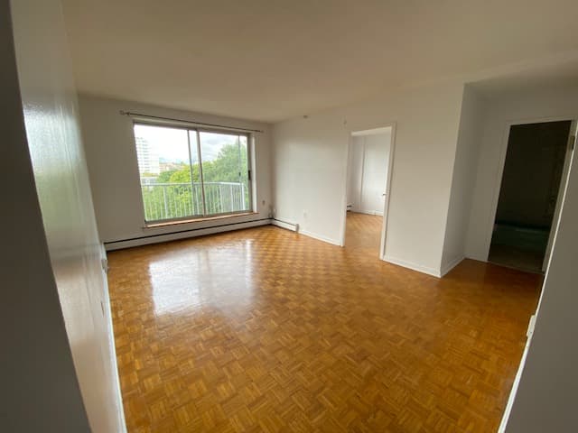IMG 1320