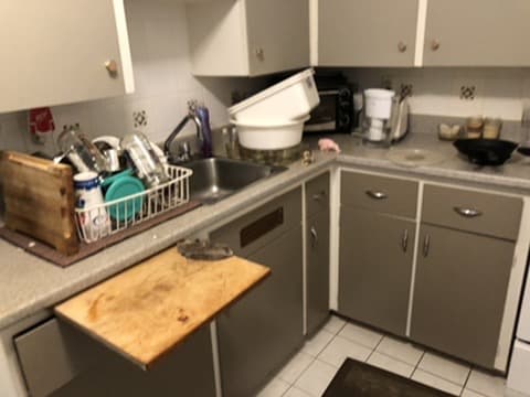 IMG 2918